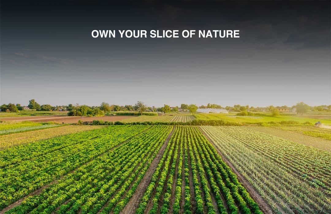 Sameera Terrafarms project